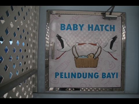 Apa itu Baby Hatch?