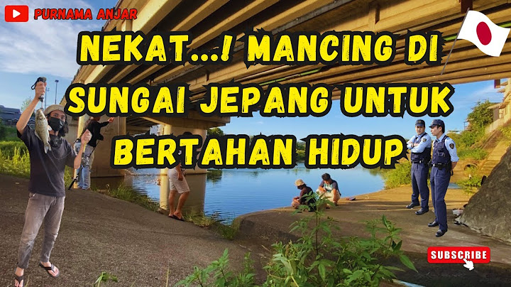 MANCING IKAN BESAR DI SUNGAI JEPANG || Banyak ikan enak di sungai jepang auto mancing tiap hari.