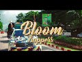 BLOOM TRAPPERS - Quand tu vois tu sais (Clip Officiel)