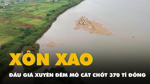 Toàn cảnh mỏ cát chốt 370 tỉ đồng sau màn đấu giá xuyên đêm ở Quảng Nam