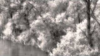 Vinterriket - Eisreflektionen