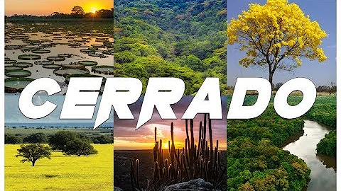 Onde tem Cerrado no Brasil?