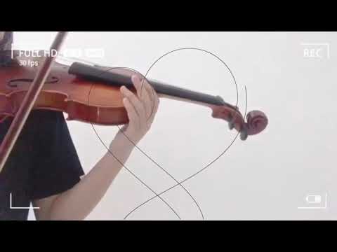 Boy With Luv BTS (feat. Halsey) Violin Cover