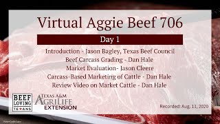Virtual Aggie Beef 706- Day 1 - Market Steer to Carcass Cooler