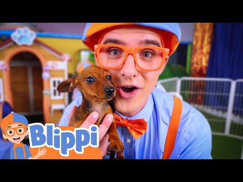 Blippi’s Puppy Adventure! 🧡🐾 | Blippi Learns Something New | Learning Videos for Kids 🔵🟠