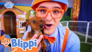 blippi s puppy adventure blippi learns something new learning