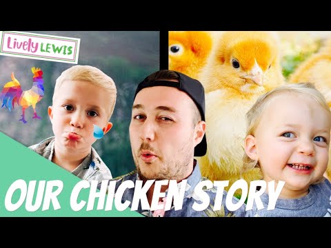 Our Chicken Story: