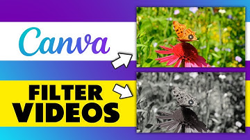 How to Add Filter to Video in Canva