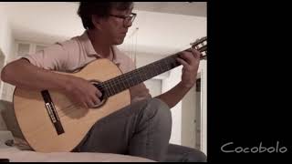 Cocobolo - Darragh O'Neill 分钟吉他演奏