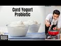 Difference Between Curd Yogurt & Probiotic Yoghurt | Kunal Kapur Recipes | दही और योगर्ट में फ़रक