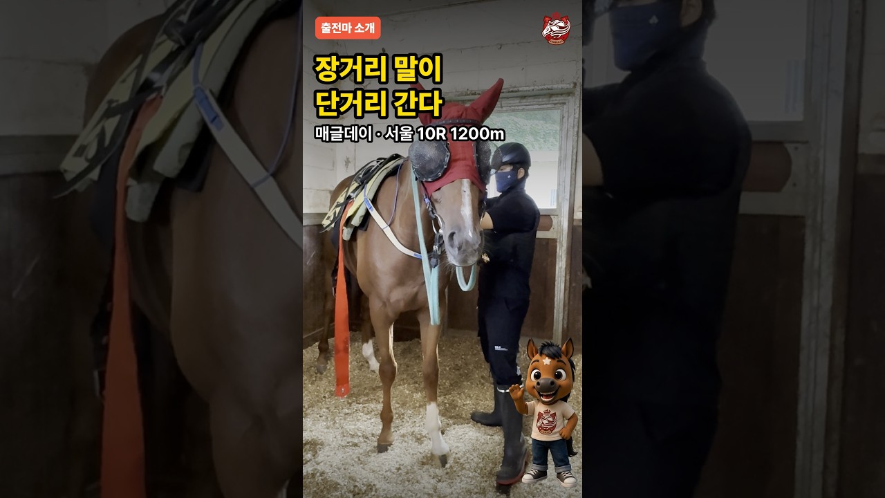 장거리 말이 단거리 간다?! 🐴 매글데이 1등급 도전 #Shorts