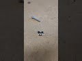 Akkuschrauber Remix fuer Skadis
