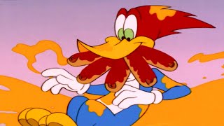War of the Hot Dogs | Woody Woodpecker