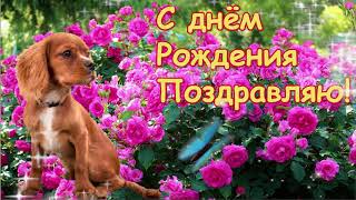 Поздравление С Днём Рождения 💐 Зажигательная песня С Днём Рождения