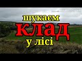 ШУКАЄМ КЛАД У ЛІСІ