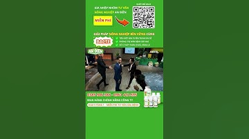 Tuyến trùng, nấm bệnh, vàng lá, héo đọt, cây yếu, BACTE giải quyết tất cả trong 1!