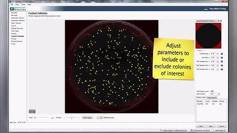 Qpix Software 2.0: Colorimetric Colony Screening
