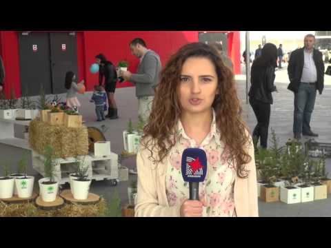 სტარტაპი \"treepex\" - ჩაერთეთ აქციაში \"დარგეხე\"