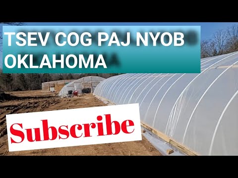 Video: Cov Khw Cog Khoom 