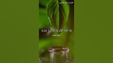 سورة البقرة بصوت الشيخ سعود الشريم من الاية ٢٢٦ الي الاية ٢٢٨