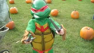 Adorable 3 year old as Raphael (Teenage Mutant Ninja Turtles) Halloween Costume