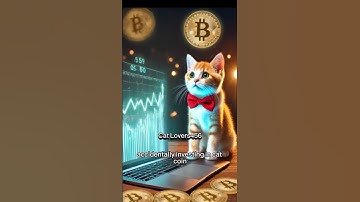 Crypto Cat’s Million-Dollar Mistake! 🐱💸