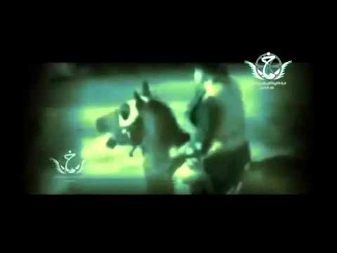 مو زينب فقط كافلها عباس أبو مؤمل الخادم