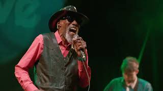 BluesAlive 2023 - ROBERT FINLEY