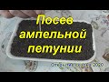 Посев ампельной петунии и эустомы. Открытие сезона 2020.