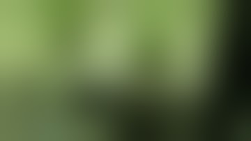 New DWC setup roots in 3 days