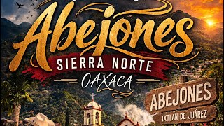 Abejones es un municipio ubicado en la Sierra Norte de Oaxaca,