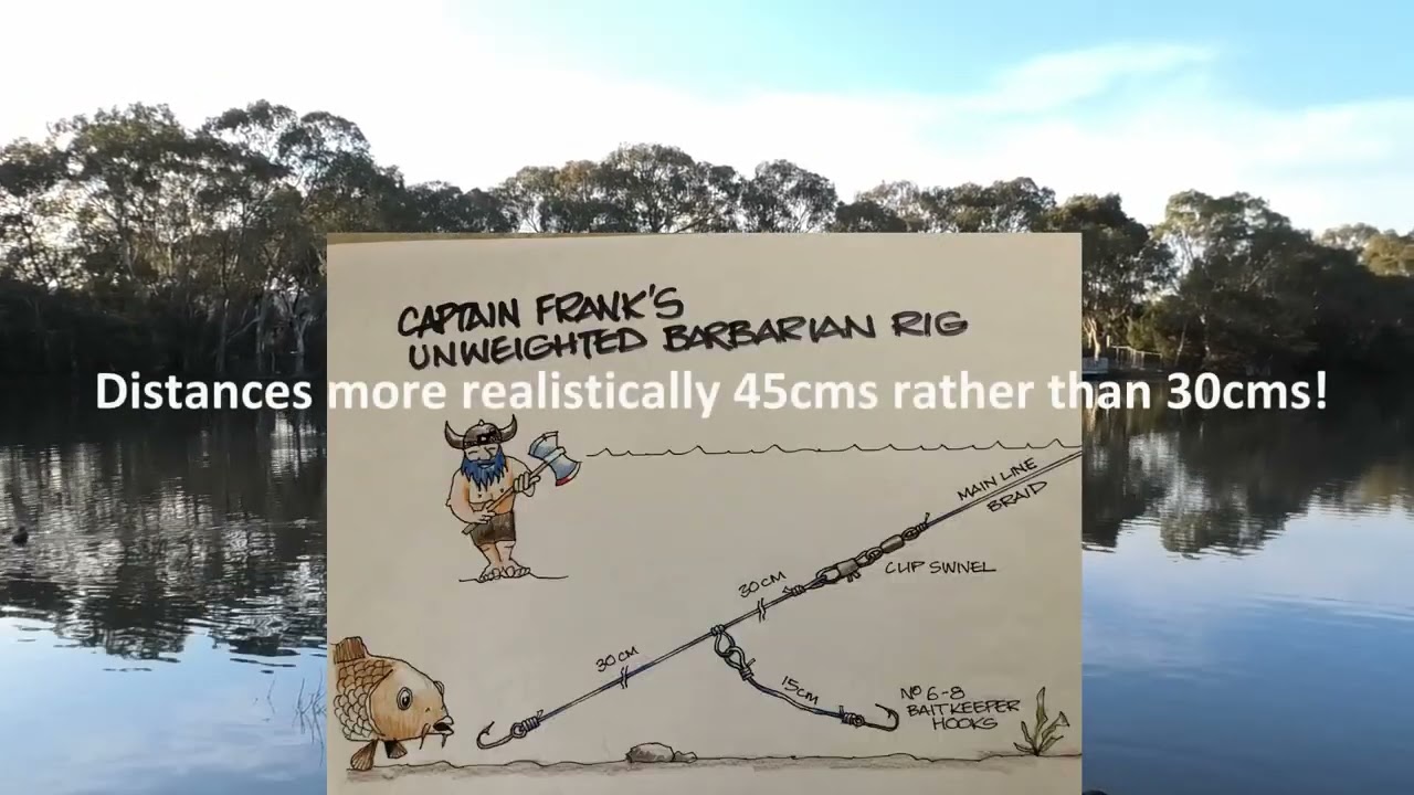 The Unweighted line rig for carp in Australia 