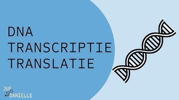 Van DNA naar eiwit: transcriptie en translatie