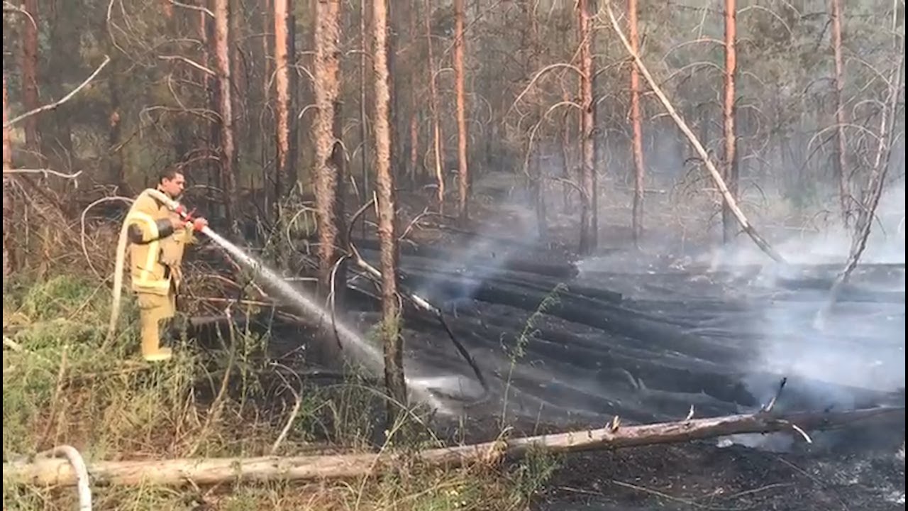 Ергенинские высоты пожар. Высота сгорела