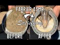 Satisfying Front Hoof Restoration-Farrier ASMR