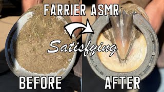 Satisfying Front Hoof Restoration-Farrier ASMR
