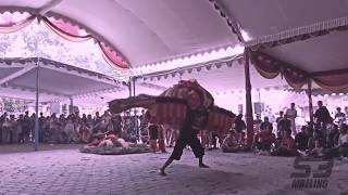 Status WhatsApp Reog Ponorogo