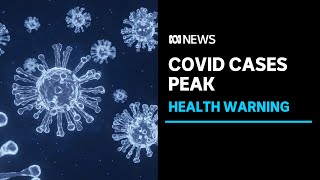 Tasmanias COVID cases rise as winter approaches | ABC News