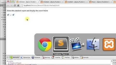 jQuery Tutorial: How To Use the Form Selector Filters