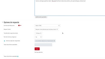CURSO AVANZADO MOODLE 3.5 - Pregunta tipo ensayo