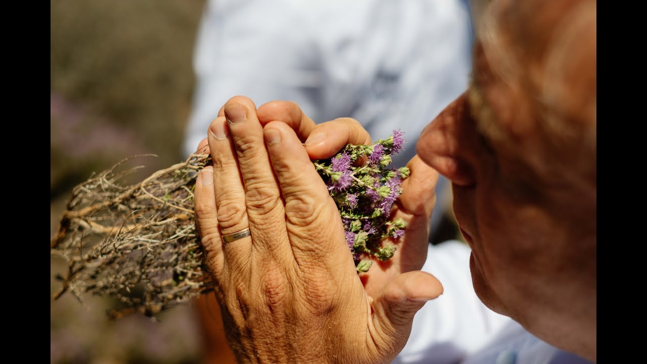 Paralos Irini Mare...for an authentic gastronomical experience