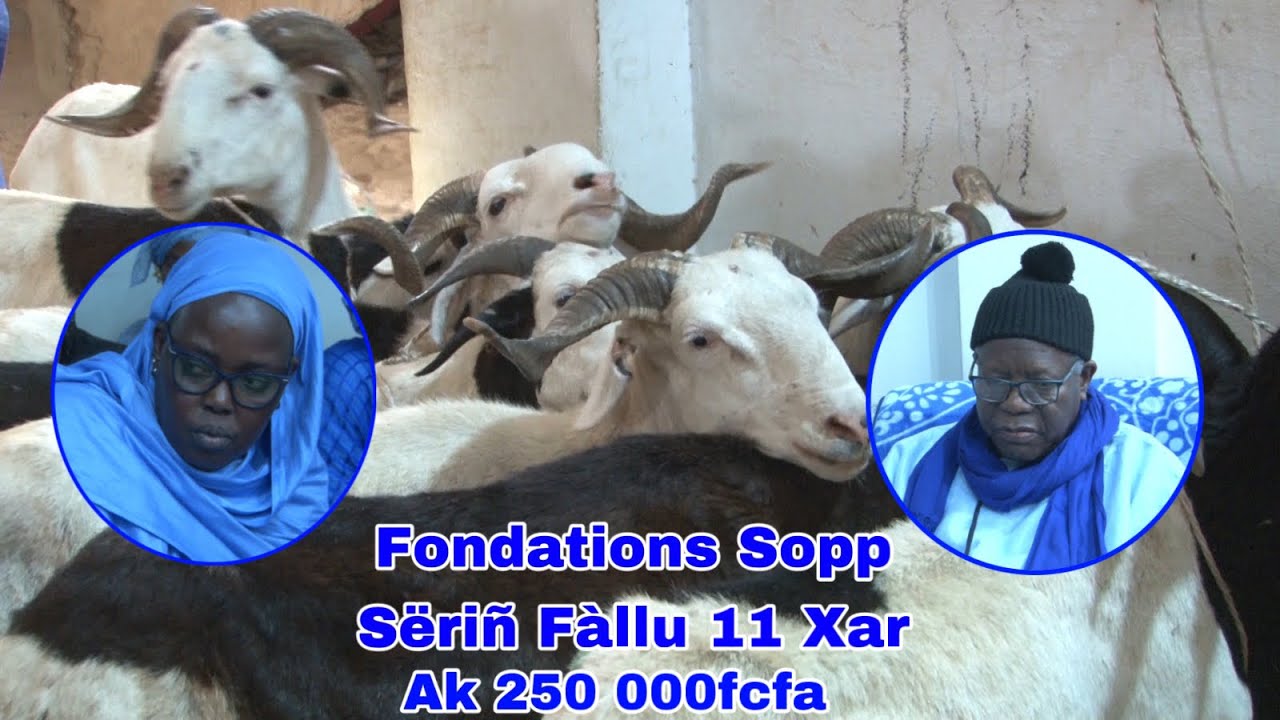 Tabaski 2025 : Jéebale Xari Waa Fondaasiyon Sopey Sëriñ Fällu Ci Sëriñ Fallu Faal 11i Xar