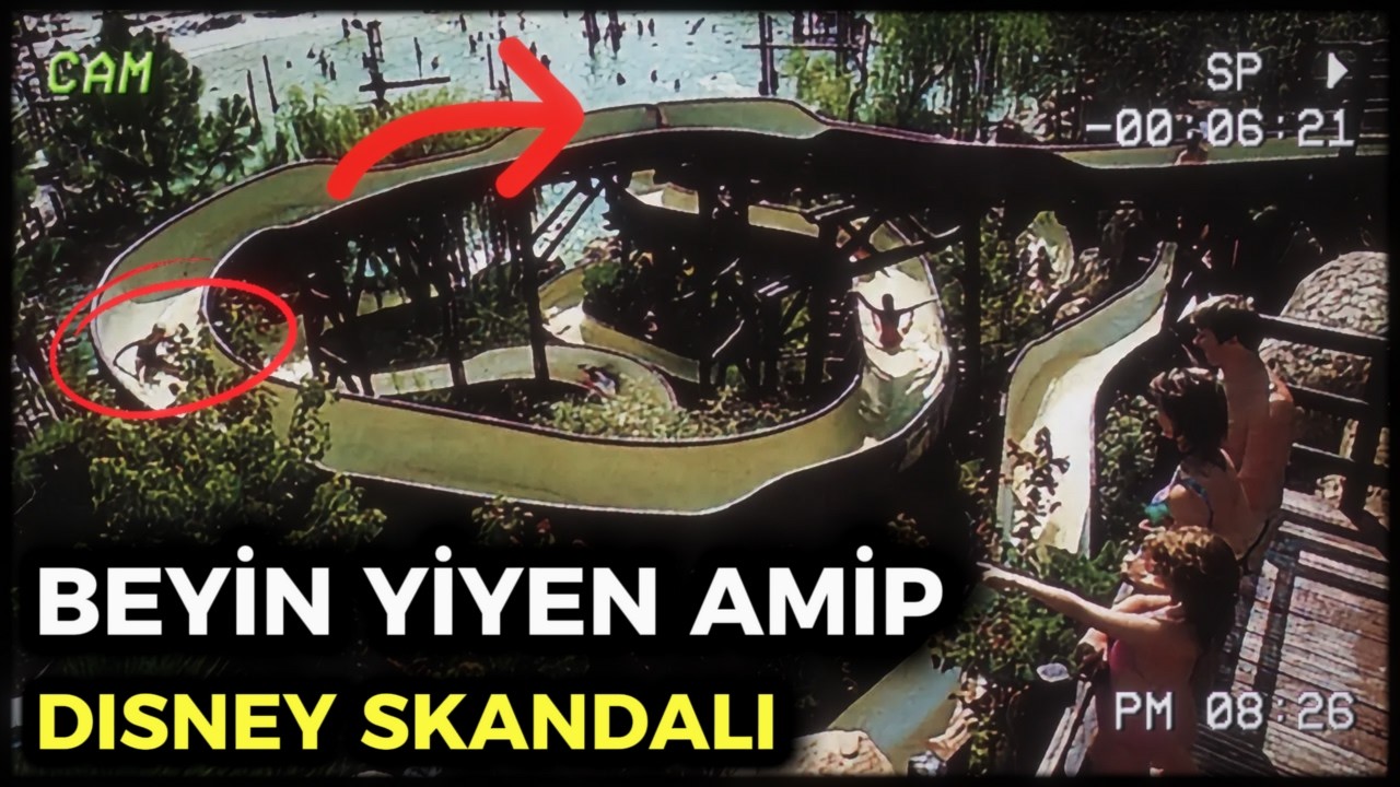 DISNEY SU PARKLARININ KARANLIK YÜZÜ
