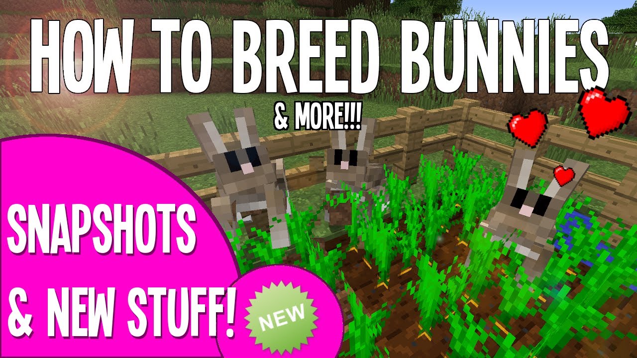 How To Breed Tame Rabbits In Minecraft Bunnies Youtube