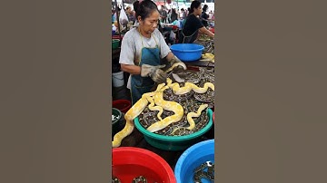 Inside a Southeast Asian Exotic Market: The World of Pythons.@FlavorHunts-ai