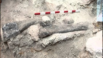 Creation Has Answers 2016 Series - Geologic Column: Sorting