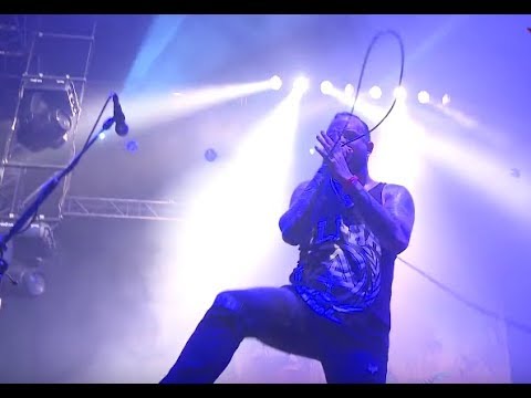 August Burns Red new BTS video - Kataklysm DVD - Paradise Lost - Septicflesh - 1349