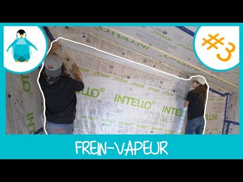 Vidéo: Comment choisir un matériau pare-vapeur : avis et avis d'experts. Matériaux pare-vapeur pour murs