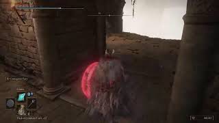 #Elden Ring|Shawdo of The Erdtree NG+2 @garyghostbuster2219
