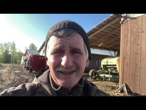 Как заготовить хорошее сено?